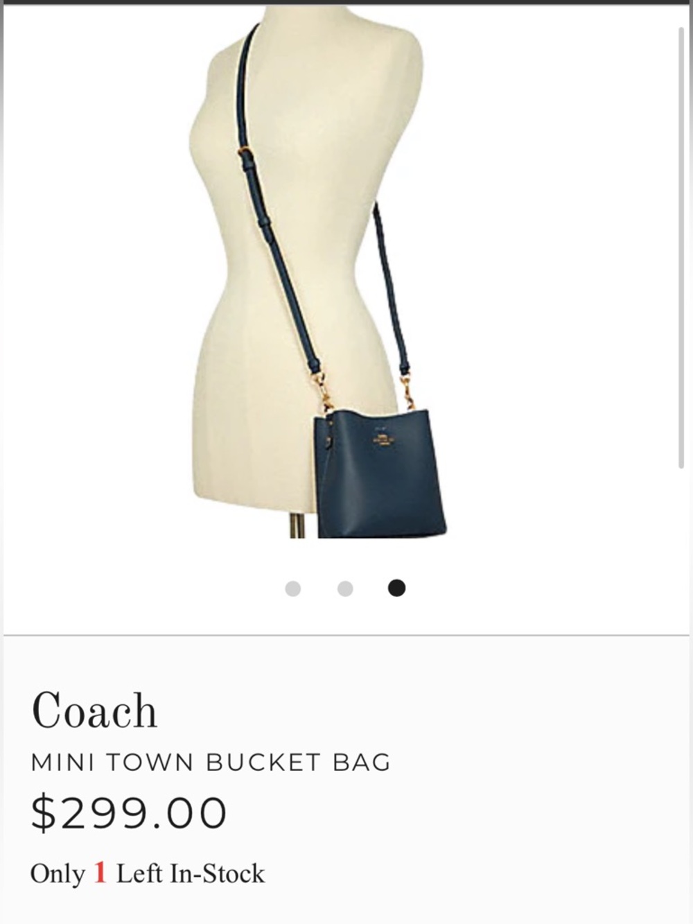 SOLD SOLD
Coach Mini Town Bucket - Picture 15 of 15